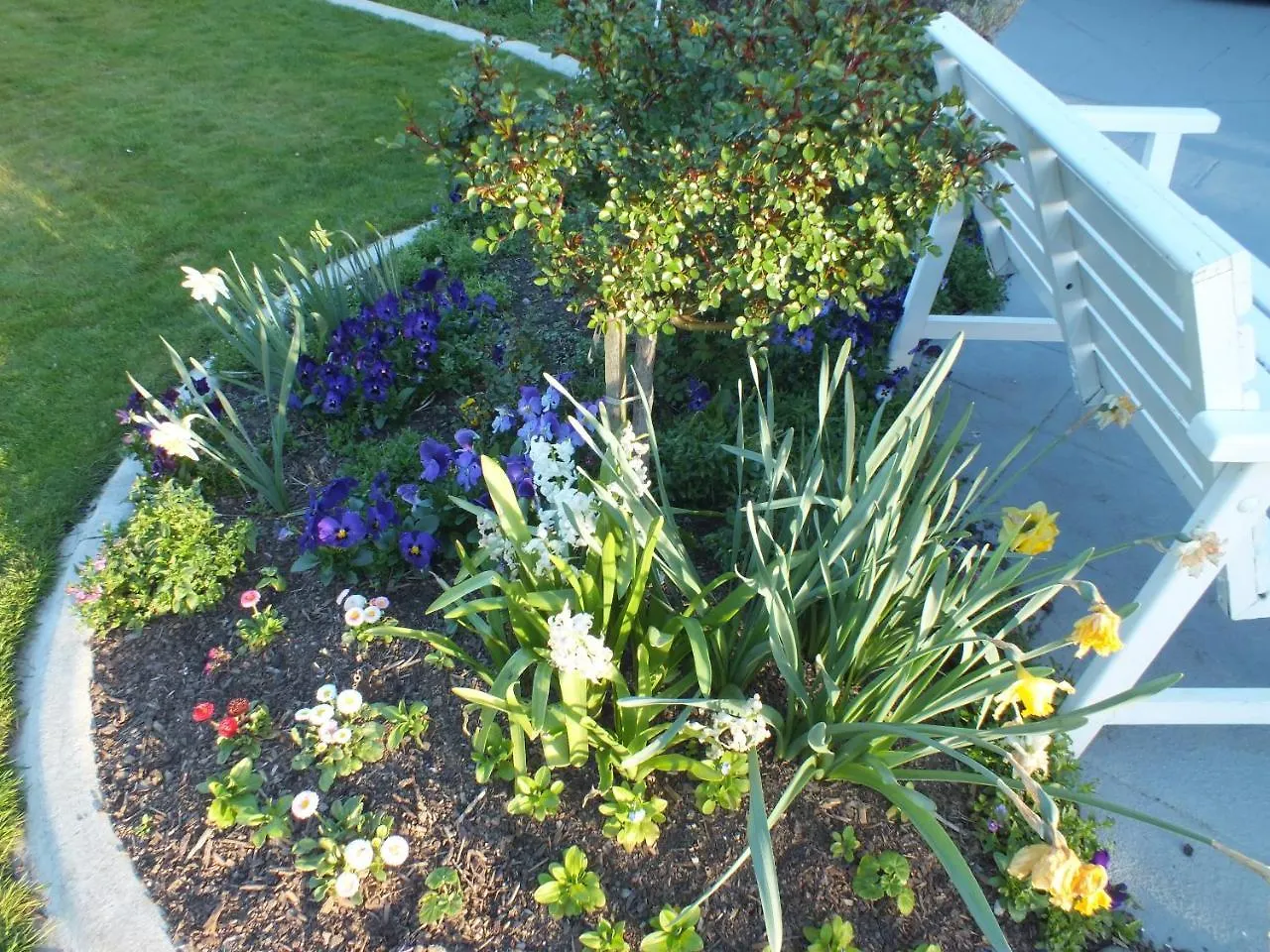 Dom wakacyjny Perfect Home, Stunning Gardens - Aidanfield Gardens Bellissimo Christchurch
