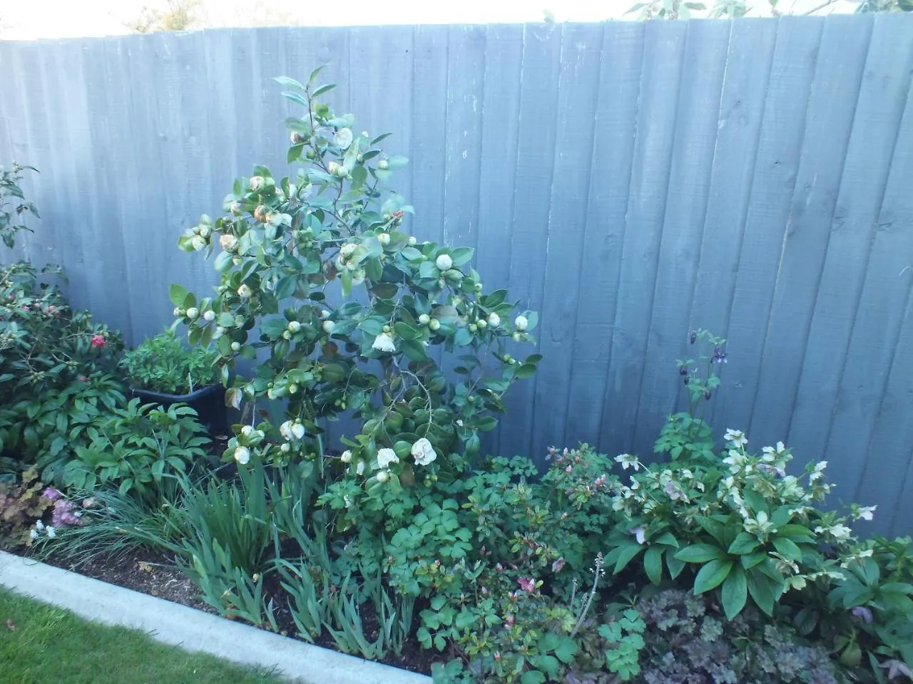 Perfect Home, Stunning Gardens - Aidanfield Gardens Bellissimo Christchurch Dom wakacyjny