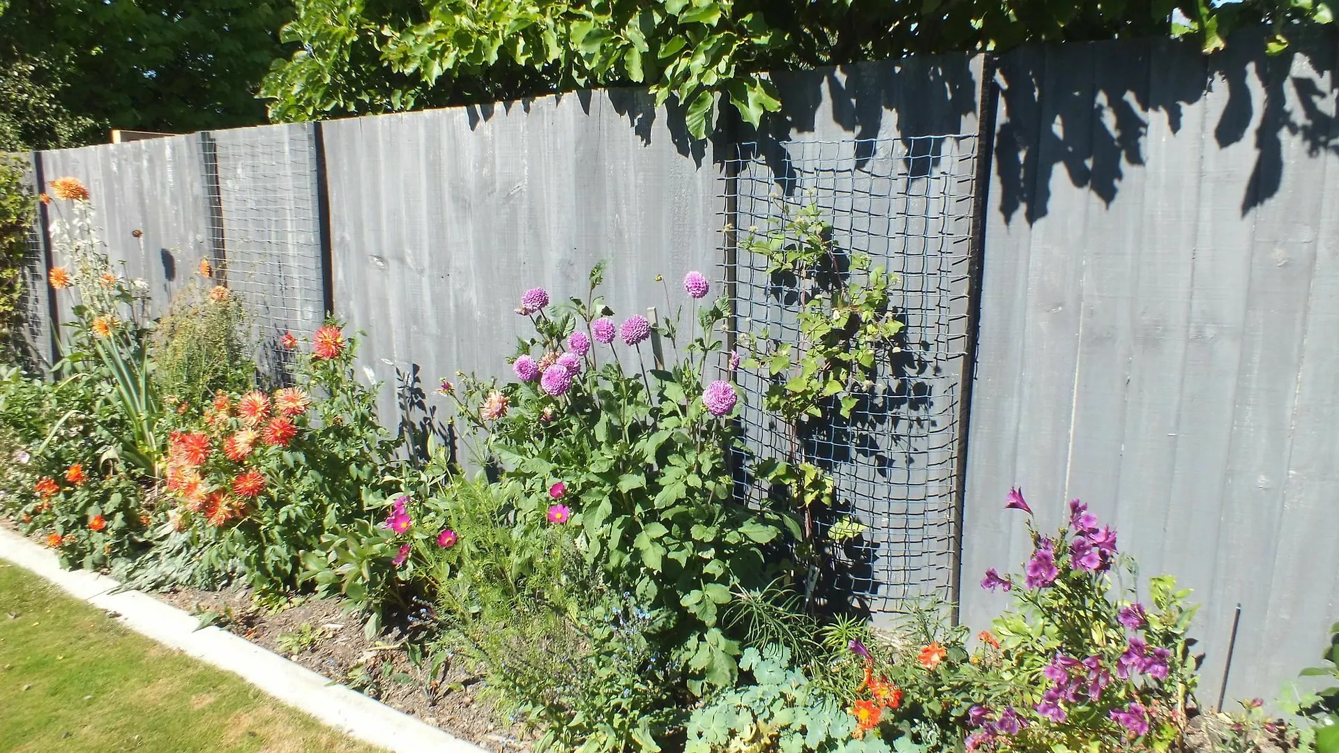 Perfect Home, Stunning Gardens - Aidanfield Gardens Bellissimo Christchurch